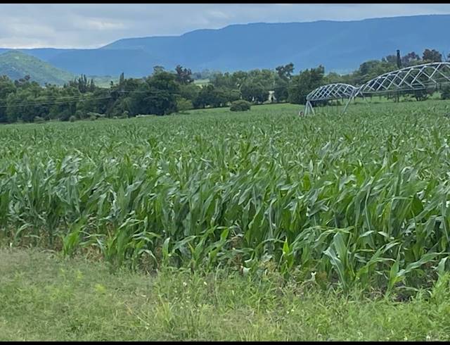 18HA FARM FOR SALE IN WEENEN